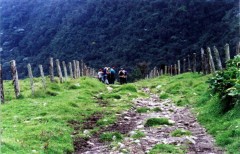 CAMINATAS ECOLOGICAS